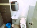 elegant-bathroom-good-color-combination