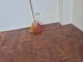 dull-clay-floor-before-epoxy-application