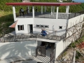 birds-front-view